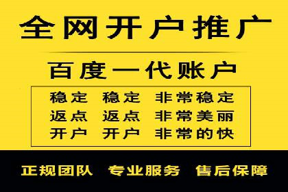 百度推广实战攻略：案例与策略
